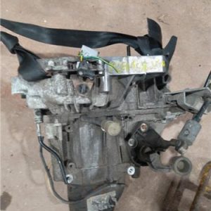 CAJA CAMBIOS RENAULT SCENIC II JM 2003
