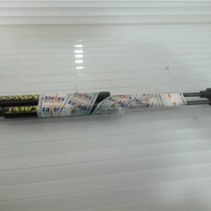 AMORTIGUADOR CAPO RENAULT KANGOO II FKW0 2008